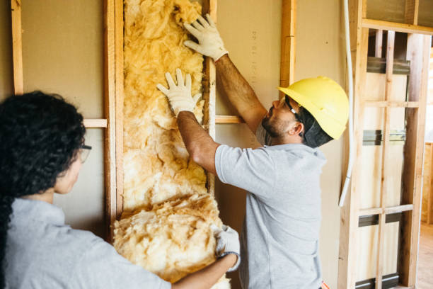 Best Fiberglass Insulation  in Folly Beach, SC