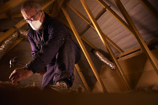 Best Insulation Removal  in Folly Beach, SC
