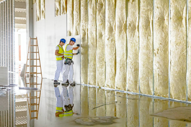 Best Attic Insulation Installation  in Folly Beach, SC